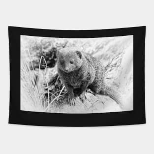 Little Mongoose Tapestry