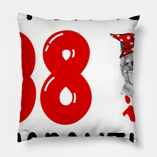 I Turned 38 In Quarantine Funny Cat Facemask Pillow