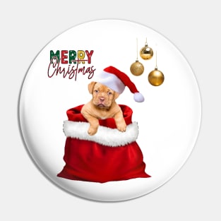 Merry Christmas, cute christmas dogs Pin