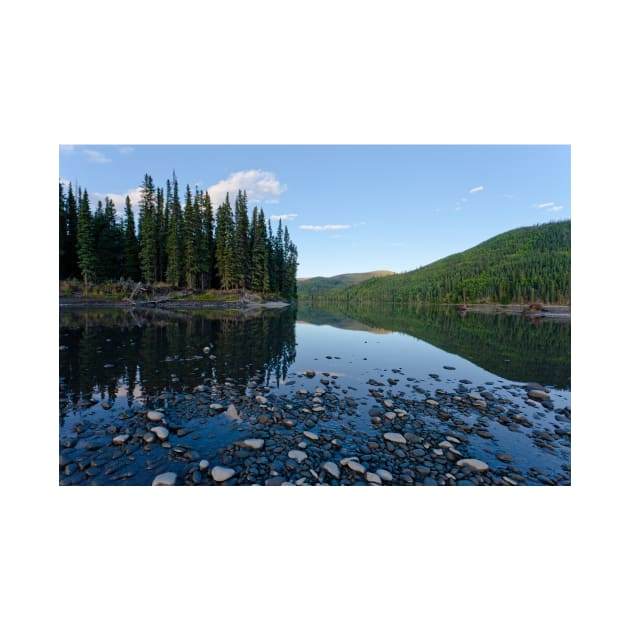 Taiga mirrored on Steward River near town of Mayo by ImagoBorealis