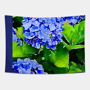 “Cape Cod Blue” Summer hydrangea Tapestry