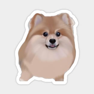 Cute Pomeranian Drawing Magnet