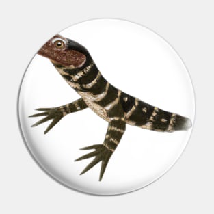 Cute Monitor Lizard Drawing Pin