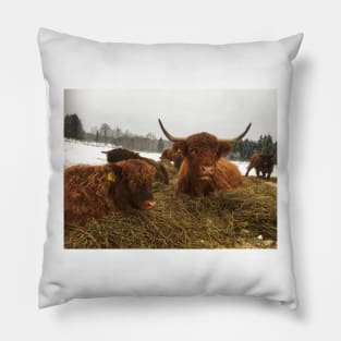 Scottish Highland Cattle Cow and Calf 1863 Pillow