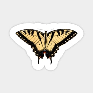 Eastern Tiger Swallowtail Magnet