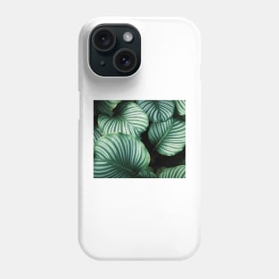 Luscious ferns II Phone Case