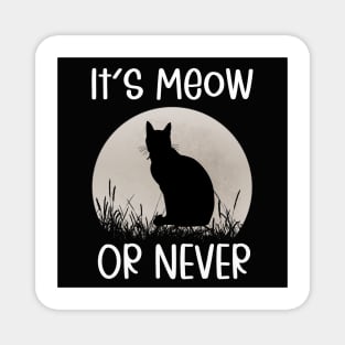 It's Meow Or Never Magnet