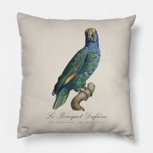 Blue-Cheeked Amazon Parrot or Dufresne Parrot - 19th century Jacques Barraband Illustration Pillow