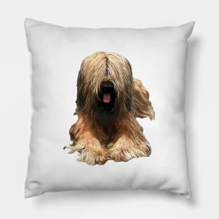 Briard The Stylish Look Pillow