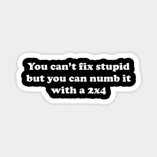 You can’t fix stupid but you can numb it with a 2x4 Magnet