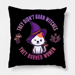 They Didn't Burn Witches, They Burned Women Pillow