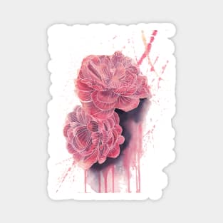 Peonies Illustration 3 Magnet