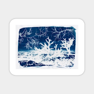 Sae and Algae Cyanotype Magnet