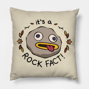 Rock Fact Pillow