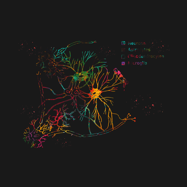 Cortical pyramidal cells by erzebeth