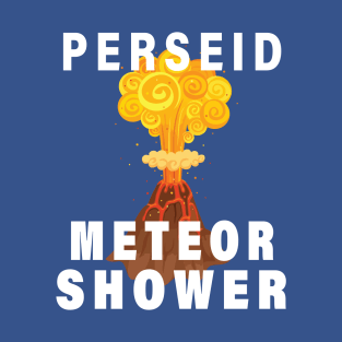 Perseid Meteor Shower Survivor 3 T-Shirt