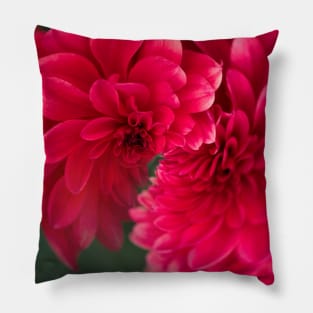 Dahlia Cover Art Pillow