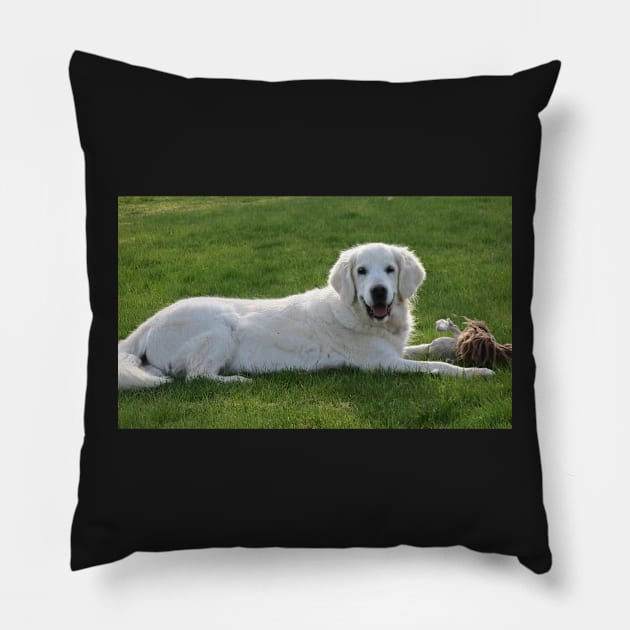 Happy birthday sweet Ditte! 13 years on th 8th of April Pillow by Trine