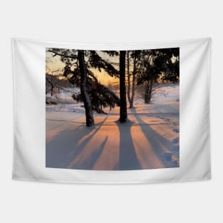 Sunset in the Snowy Forest Tapestry