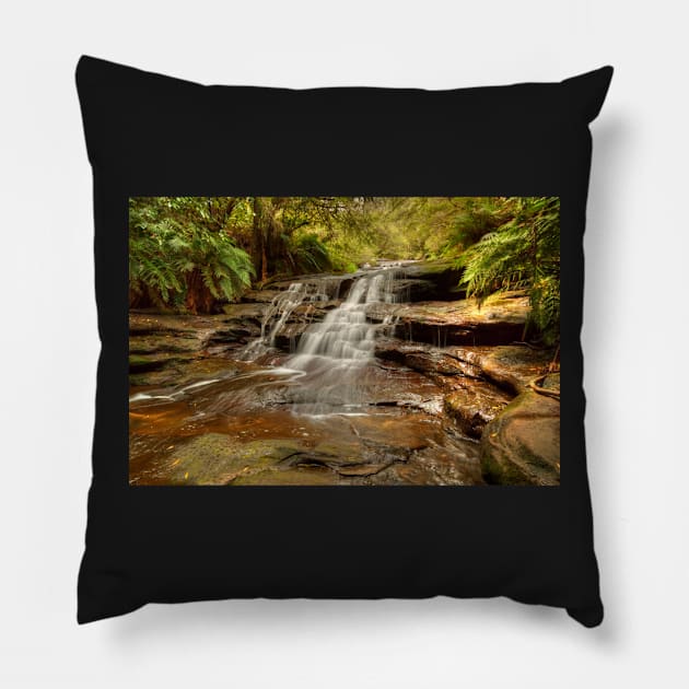 Leura Cascade .. 2014 Pillow by Michaelm43