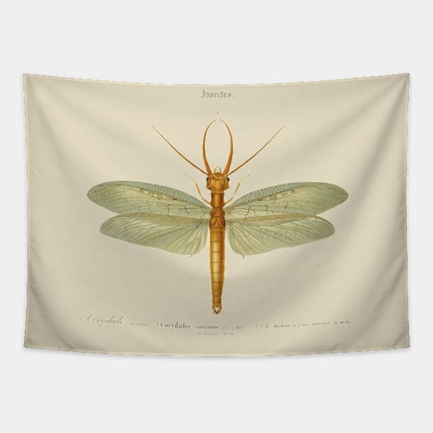 Dragonfly Tapestry by chriswig