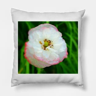 Poppy white flower photo Pillow