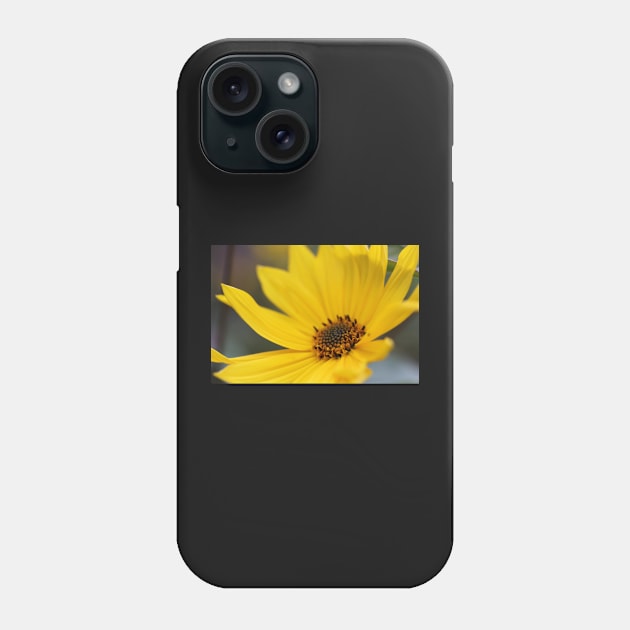 Floral Sunshine Phone Case by gracethescene