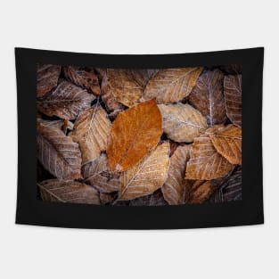 Frosty Beech Leaves Tapestry