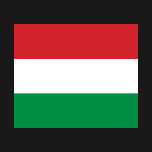 Hungary flag by flag for all