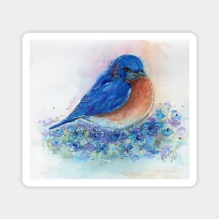 Tiny Eastern bluebird by Renee Lavoie Magnet