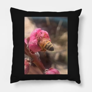 Honey Bee Butt In An Apricot Blossom Pillow