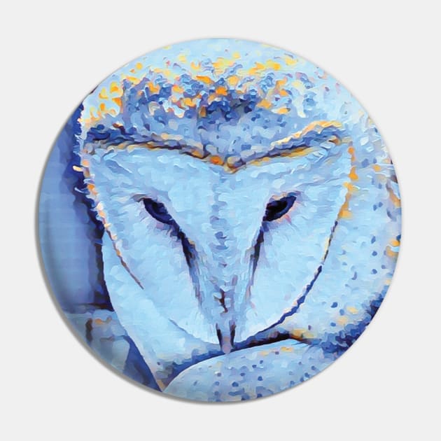 Ziggy the Barn Owl… Pin by drumweaver