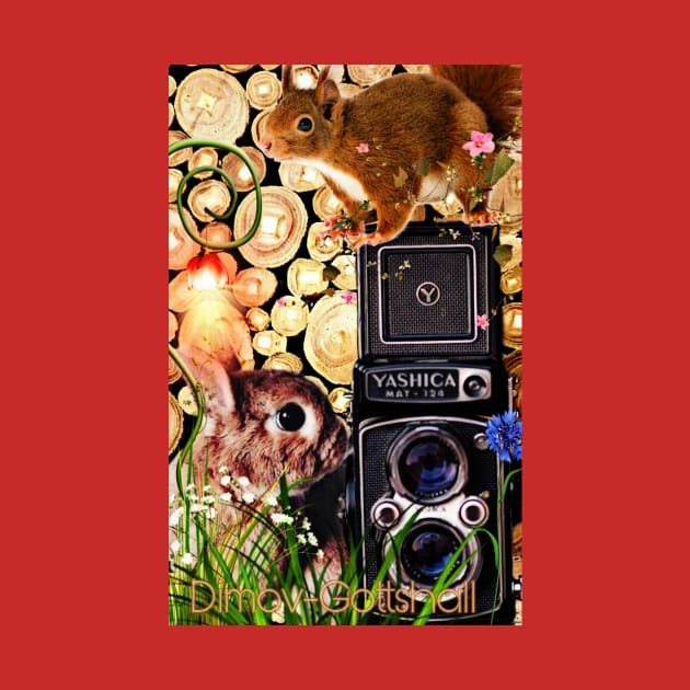 Squirrel and rabbit photographers by Edgot