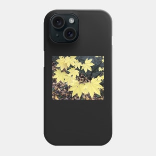 Fall is Here Now Phone Case