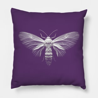 White Moth Pillow