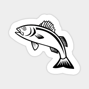 European Seabass Sea Bass or Dicentrarchus Labrax Jumping Up Mascot Black and White Magnet