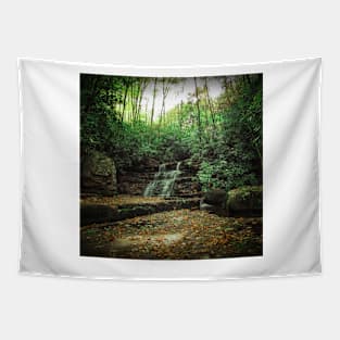 Middle Mill Creek Tapestry