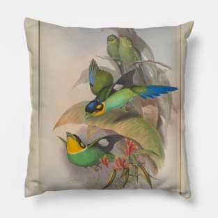 Two Flying Birds Pillow