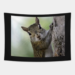 Staring Contest with a Squirrel Tapestry