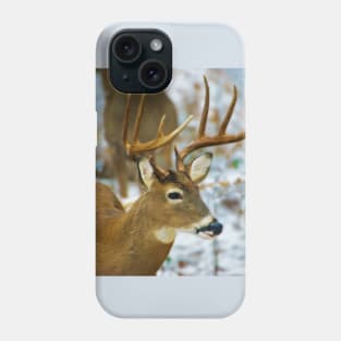 Male Deer in Snow Phone Case