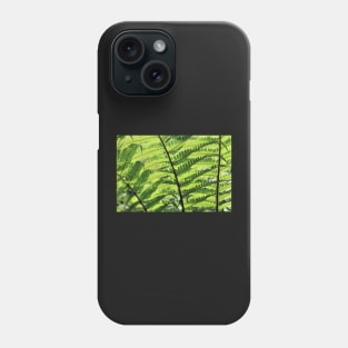 Sunlight weaving through fern fronds Phone Case