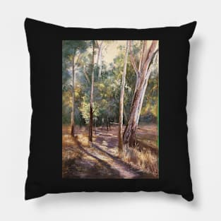 'Murray River Track' - Pastel 75cm x 55cm Pillow