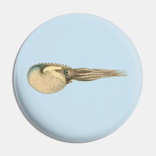 Argonaut Vintage Scientific Illustration Pin