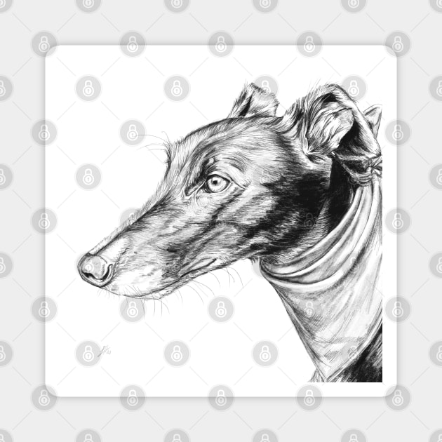 Greyhound Magnet by sophiedesigns