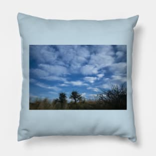 White Fluffy Clouds in a Cluster Pillow