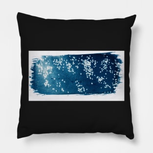 Baculogypsina sand and underwater cyanotype. Pillow