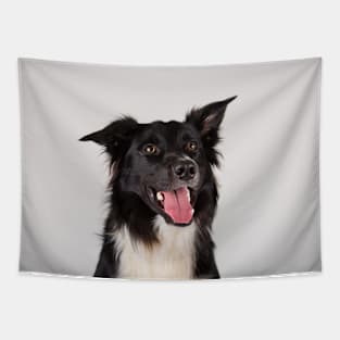 adorable purebred Border Collie Tapestry