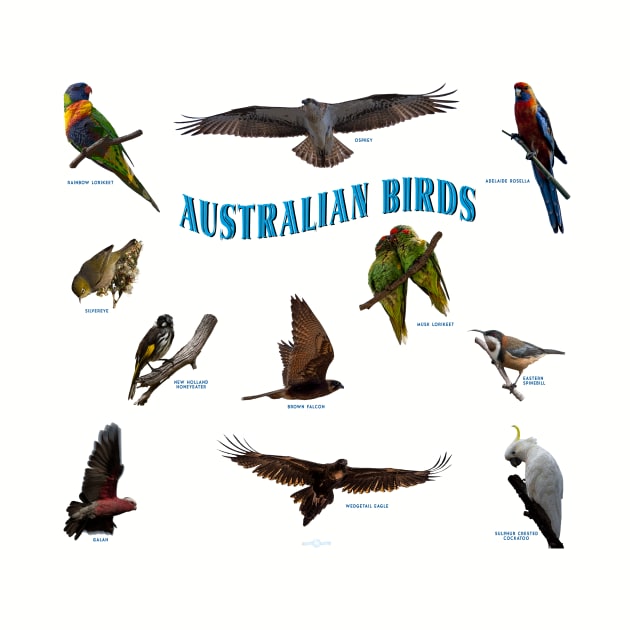 Australian native birds collection by seadogprints