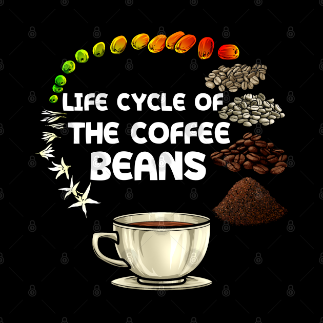 Beans Life Cycle Worksheets Printable First Grade