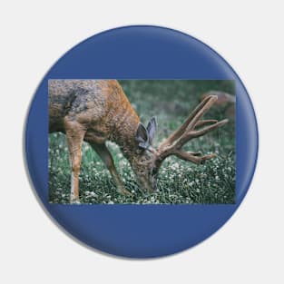 Wild life design Pin